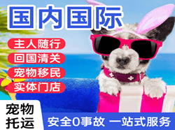 二连浩特机场邮寄国际宠物托运 【国